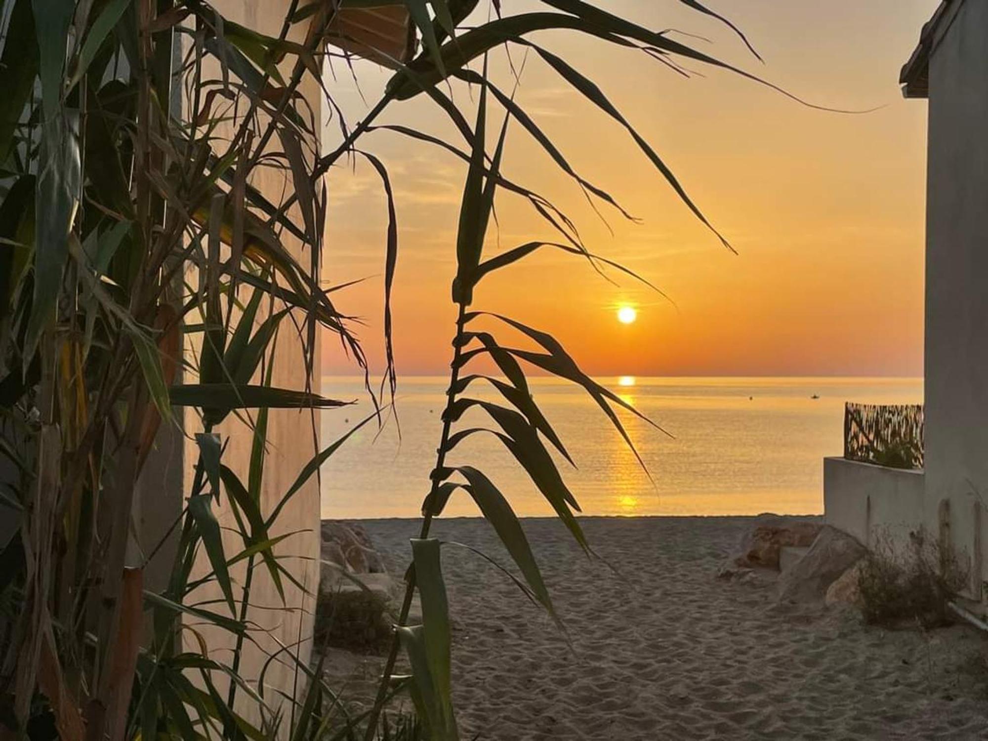 Pavillon 6 Pers A Argeles-Sur-Mer: Piscine, Clim, Parking, Wifi, Proche Plage - Fr-1-776-5 Exteriör bild